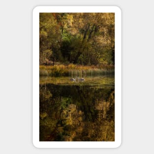 'Autumn Magic 5', Loch Dunmore, Pitlochry Sticker